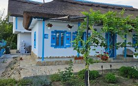 Casa cu stuf Murighiol